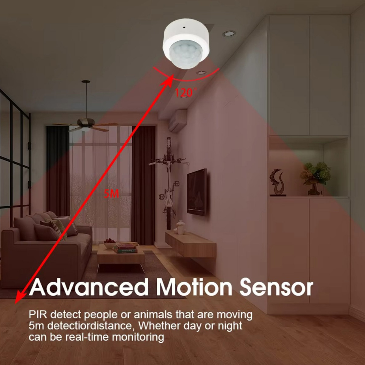 Zigbee PIR Motion Sensor Human - Smart Home Ir review and price