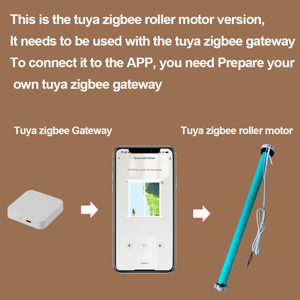 2N AC100-240V Tuya Zigbee Smar - Smart Home Youtube review and price