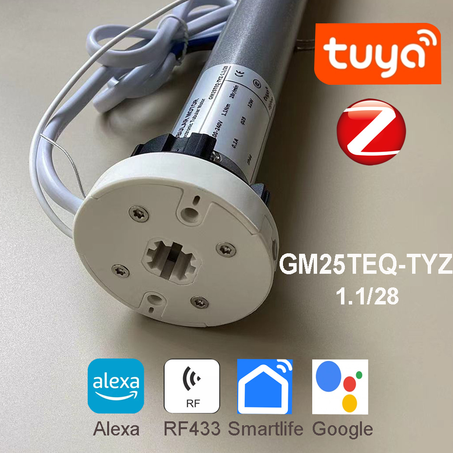 Tuya Zigbee GM25TEQ 1.1N Smart - Smart Home Youtube review and price