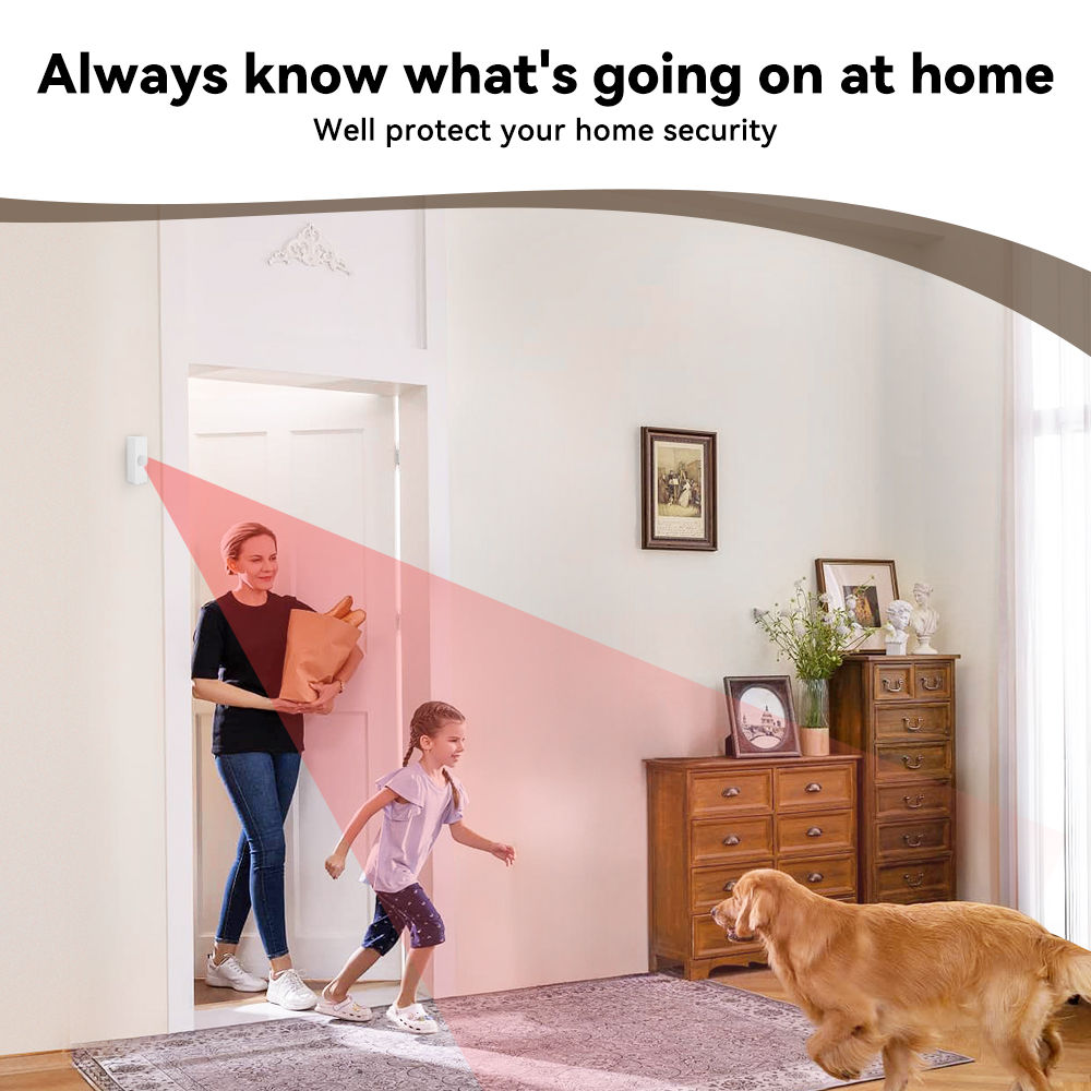 Tuya Smart PIR Motion Sensor S - Smart Home Ir review and price