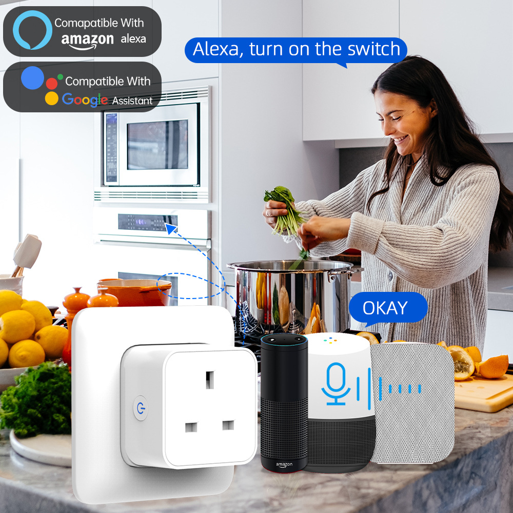 Tuya Smart Socket 16A/20A WiFi - Smart Home Wiser review and price