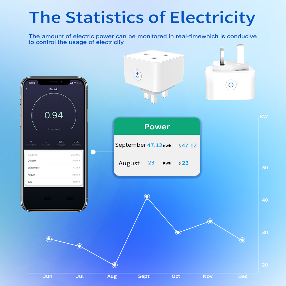 Tuya Smart Socket 16A/20A WiFi - Smart Home Wiser review and price